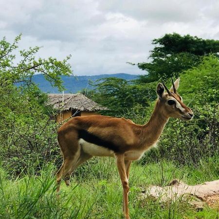 Oldonyo Orok Lodge Kajiado Екстериор снимка