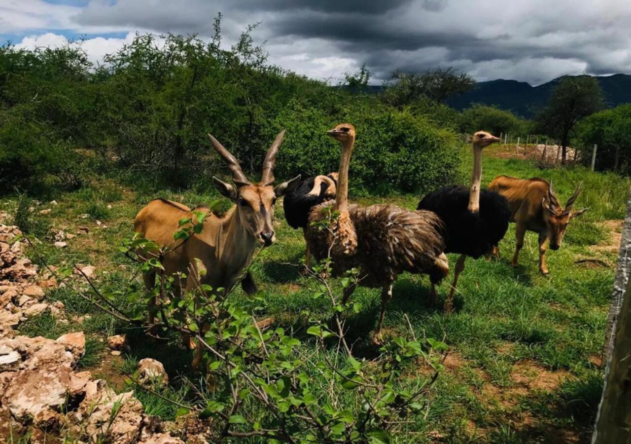 Oldonyo Orok Lodge Kajiado Екстериор снимка
