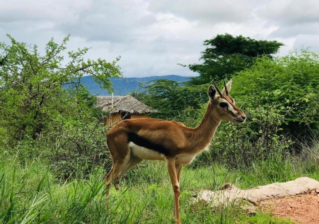 Oldonyo Orok Lodge Kajiado Екстериор снимка