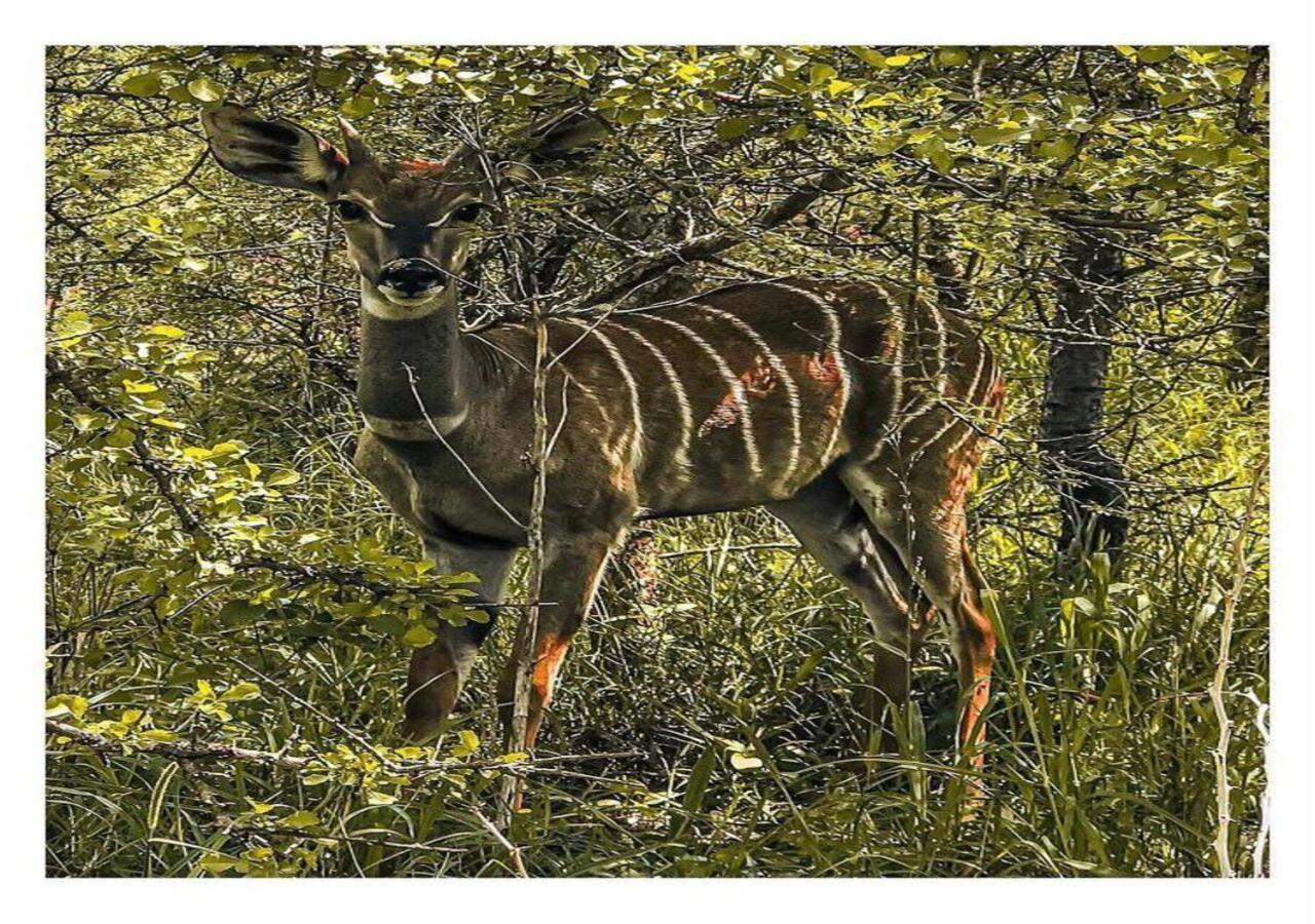 Oldonyo Orok Lodge Kajiado Екстериор снимка