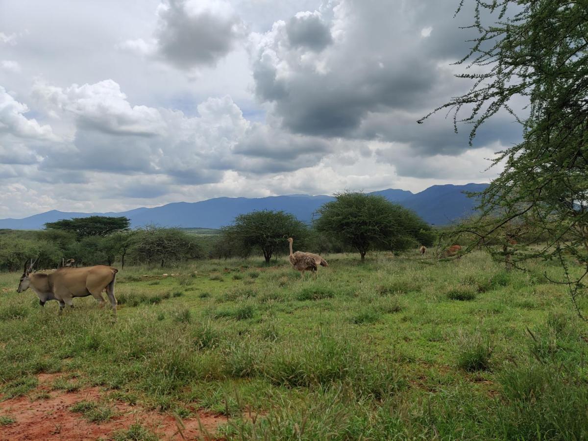 Oldonyo Orok Lodge Kajiado Екстериор снимка