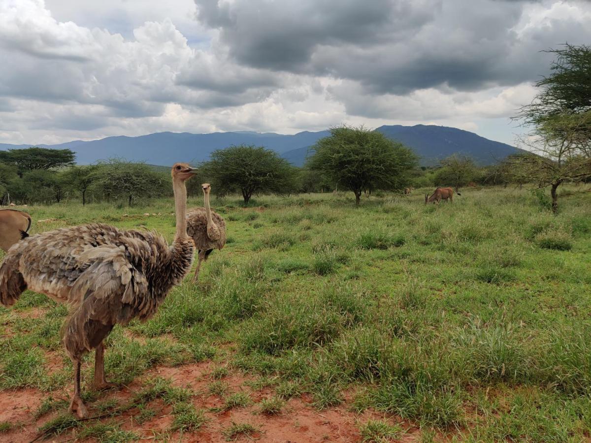 Oldonyo Orok Lodge Kajiado Екстериор снимка