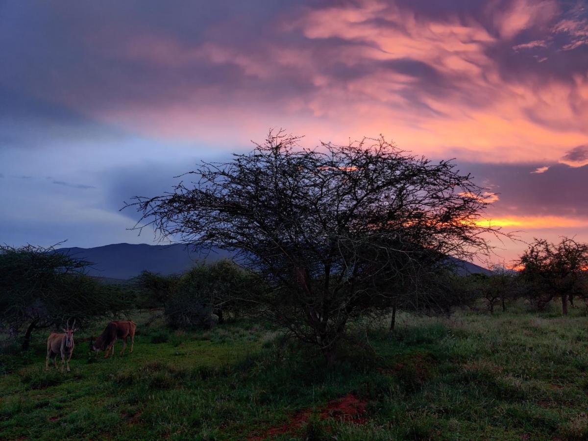 Oldonyo Orok Lodge Kajiado Екстериор снимка